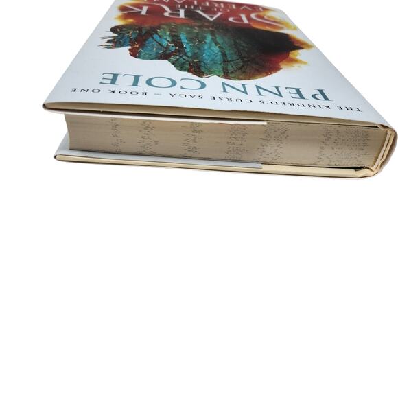 Spark of the Everflame Book B Penn Cole Romantasy Fantasy Novel Hardcover - Picture 9 of 14